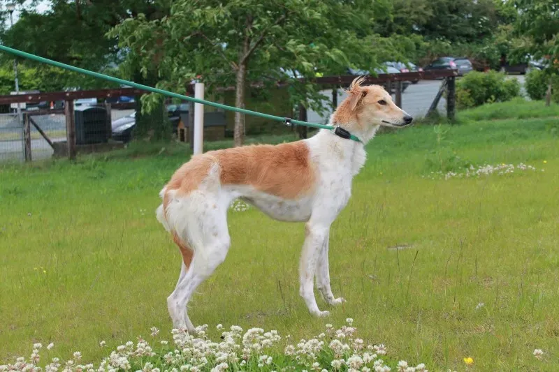 19449393 1349022075181717 2103798680 o