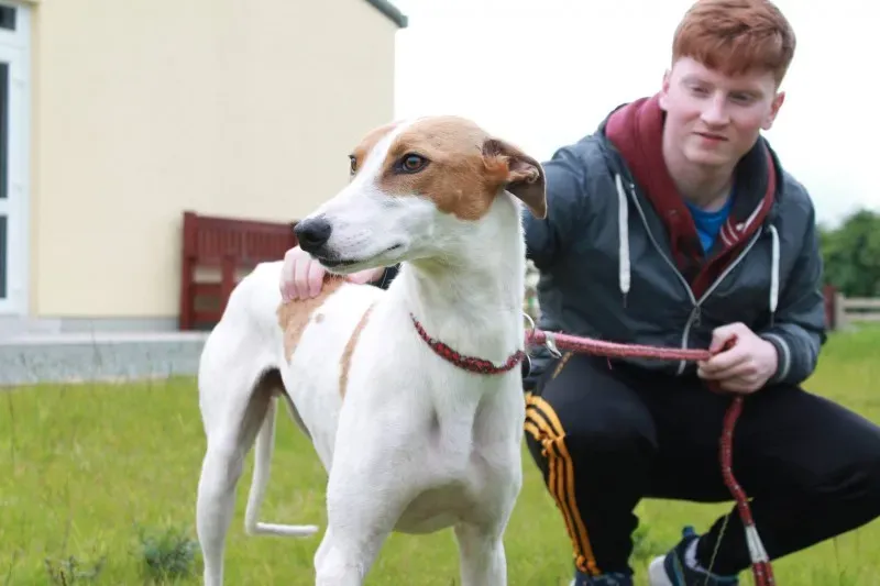 19449506 1349084591842132 638197304 o