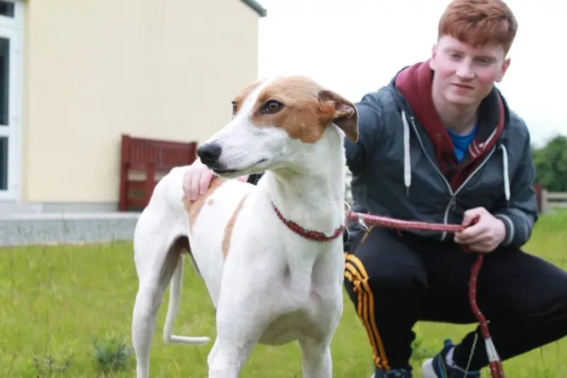 19449525 1349084595175465 1564959843 o