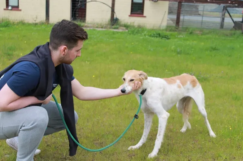 19449538 1349024105181514 715219558 o