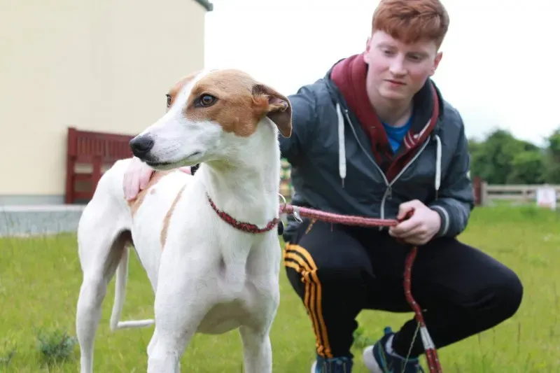 19451569 1349084588508799 1633630098 o