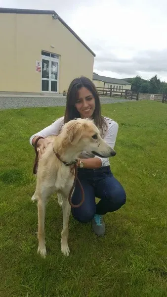 19451592 1350058165078108 739634215 o