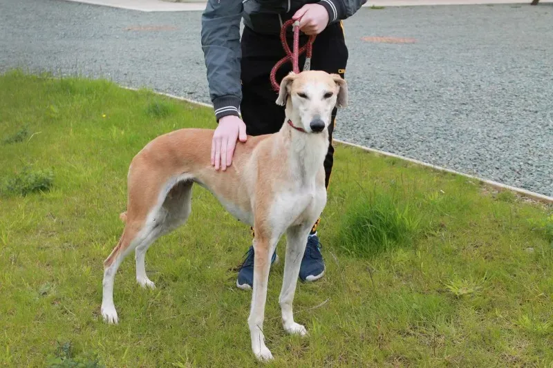 19451653 1349369601813631 2027804716 o