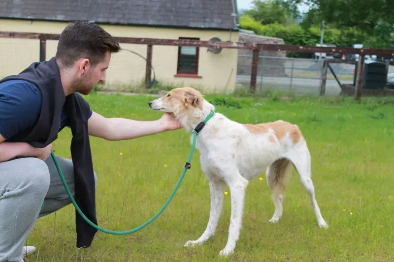 19451820 1349024455181479 308820982 o