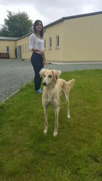 19457587 1350065895077335 2046982463 o