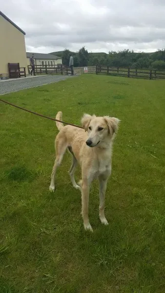 19457601 1350066088410649 890844557 o