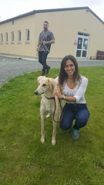 19457624 1350065821744009 1063381391 o