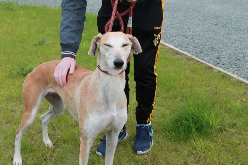 19457657 1349369258480332 485048277 o