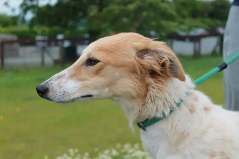 19457699 1349021485181776 1817041520 o