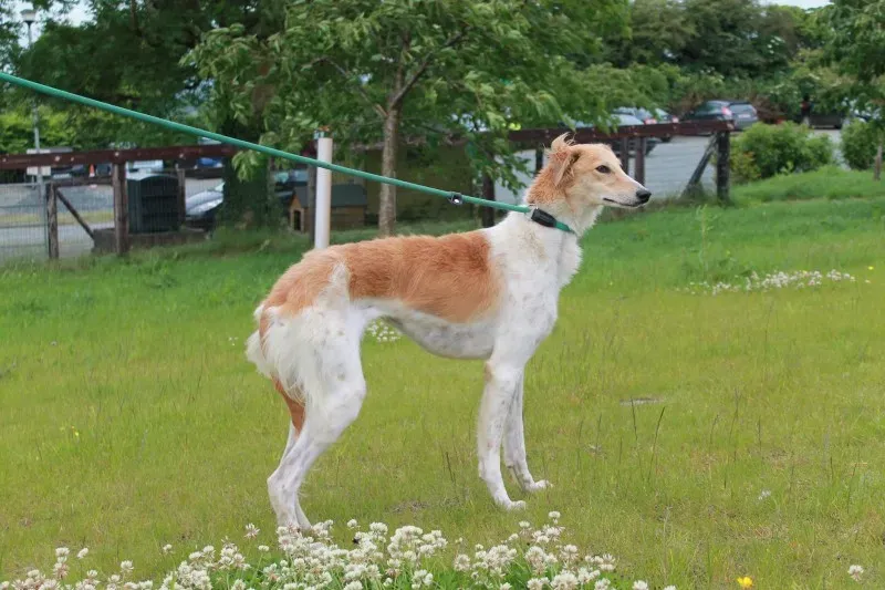 19457848 1349022065181718 2016301859 o