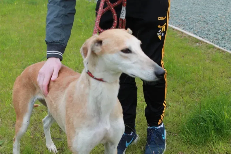 19457853 1349369265146998 1644546263 o