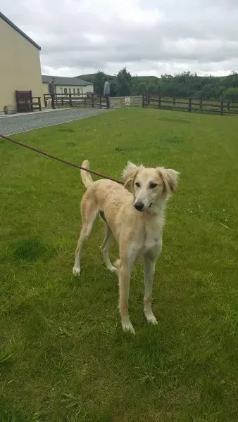 19478394 1350066065077318 517550964 o