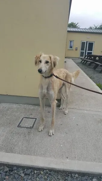 19478438 1350066121743979 45166051 o