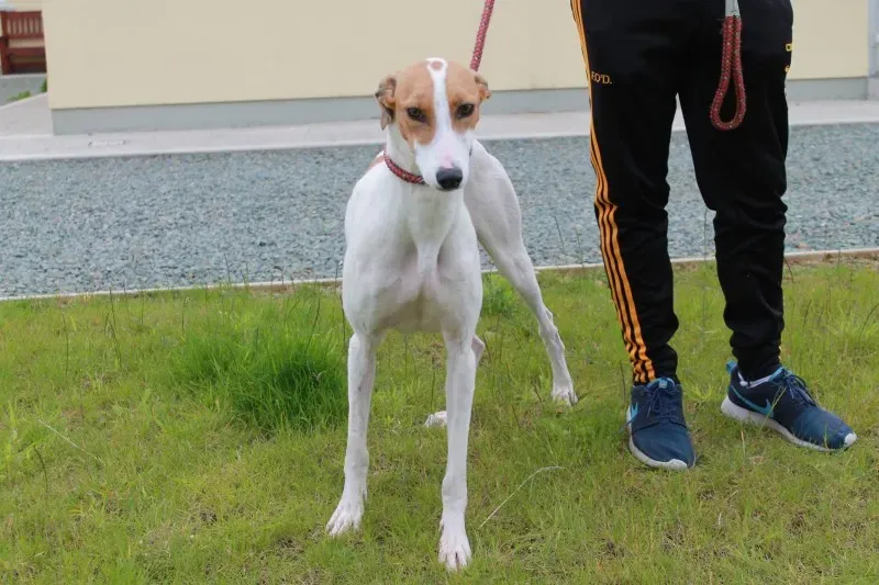 19478443 1349086661841925 713164959 o