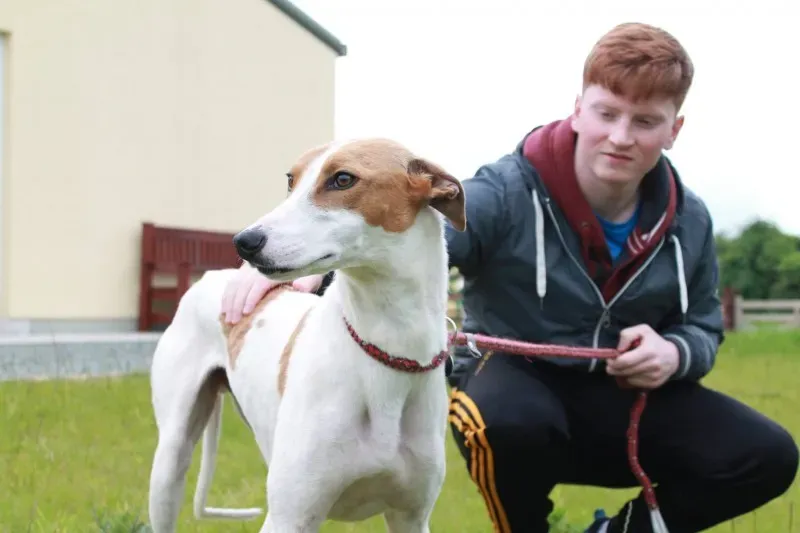 19478580 1349084468508811 610736814 o