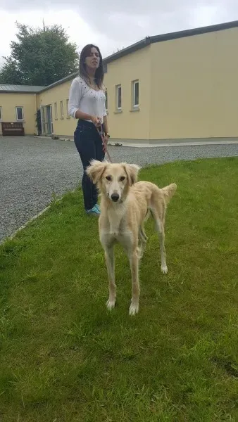 19478701 1350065931743998 169842784 o