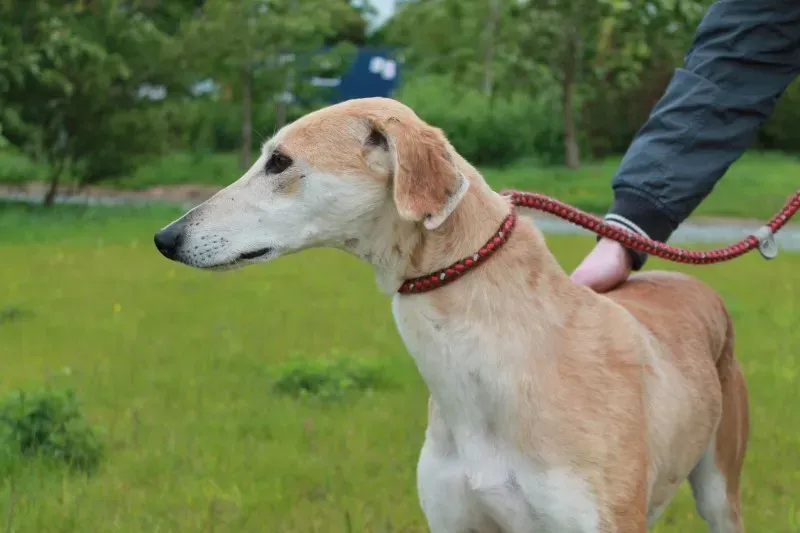 19478708 1349369605146964 2053714067 o