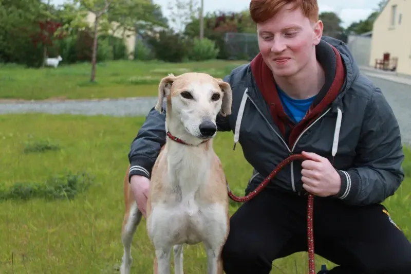 19478739 1349368298480428 65990262 o