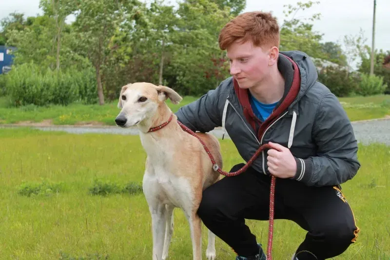 19478779 1349370728480185 555556613 o