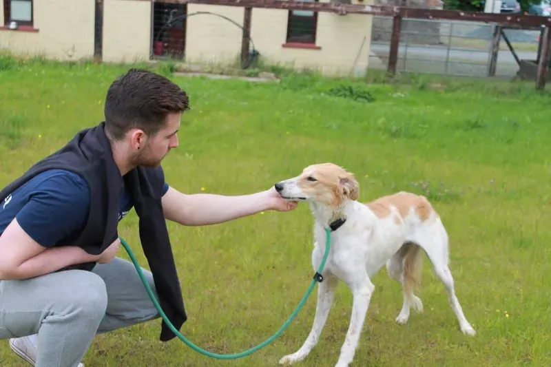 19490065 1349023225181602 1742150650 o