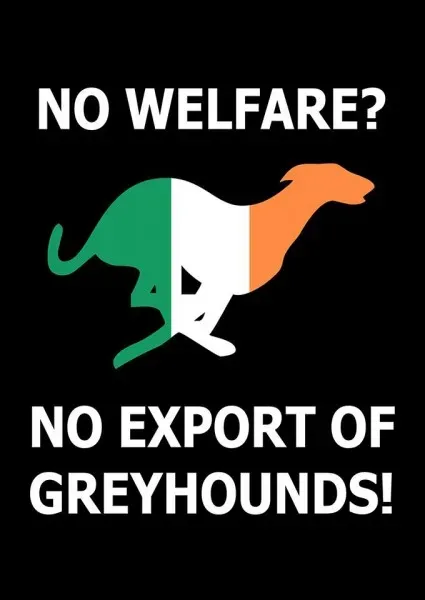 19511062 356133334804597 7703715396874325786 n