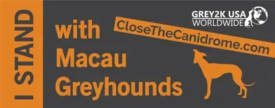 19511062 356133334804597 7703715396874325788 n 3