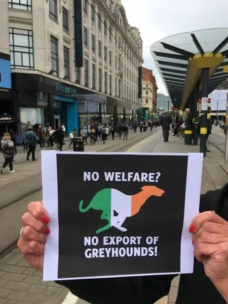 19554026 356133374804593 4393114029346274609 n 1