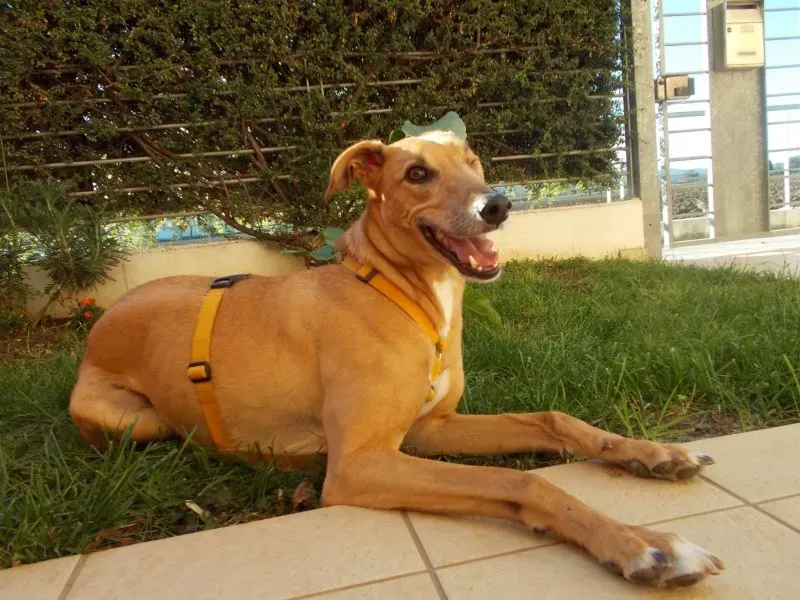 1956790 10204378466894535 9162104800392616251 o1