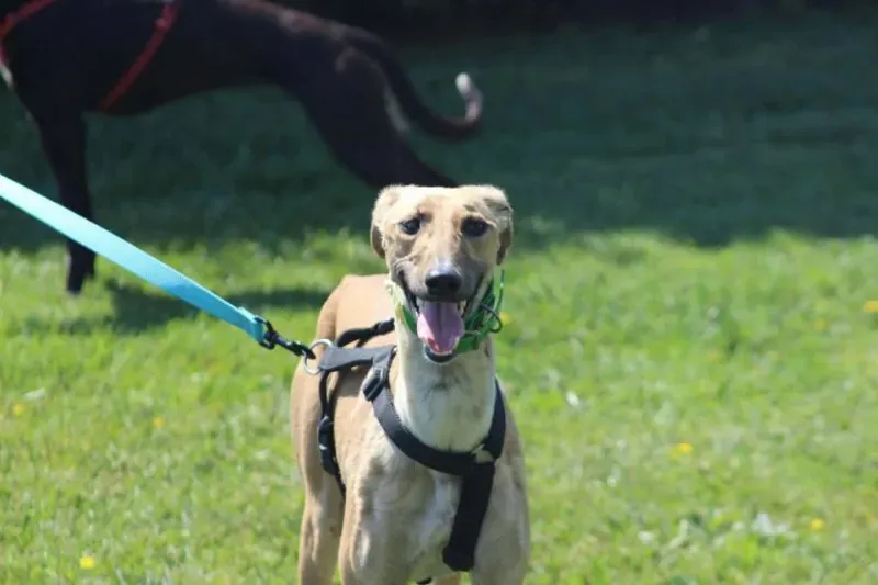 1958126 640701209347071 3520811344547374235 n