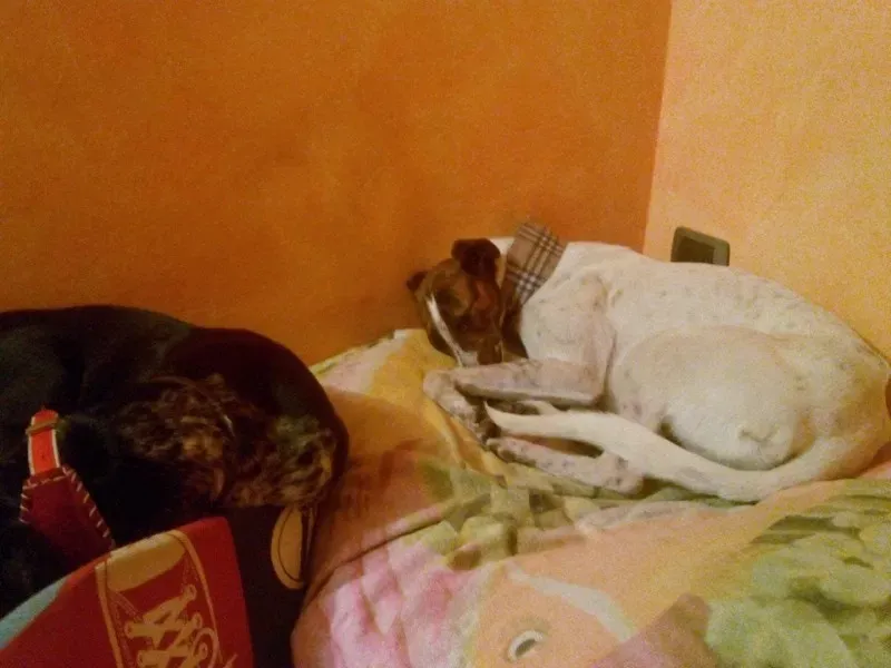 1958506 224523161075807 541946552 n