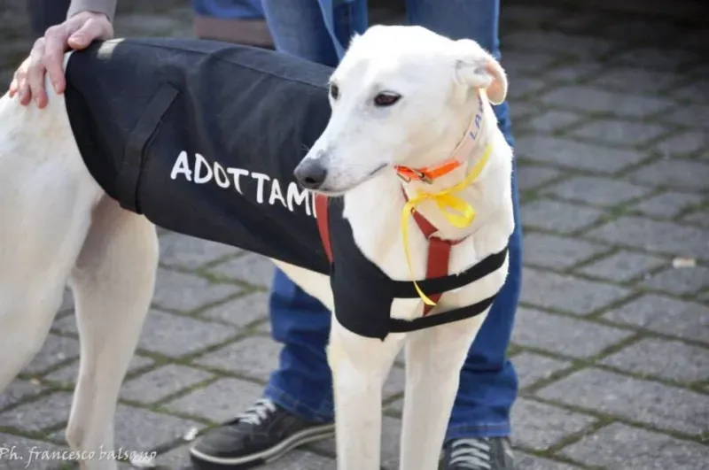 1958557 600991783318014 1615961852 n