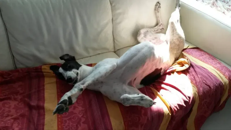 1959087 805251949495188 1896000759 o