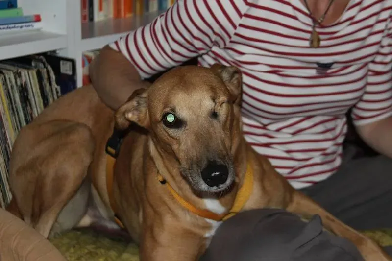 1959756 708082465942278 5710754019112811667 n