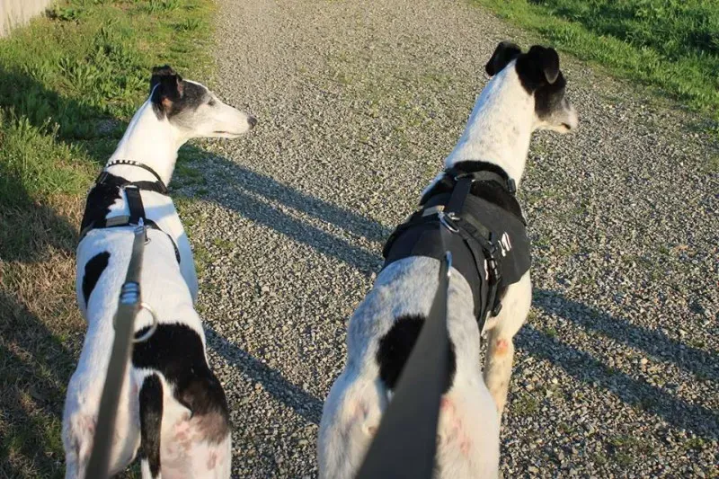 1960006 10202623952912849 414312268 n