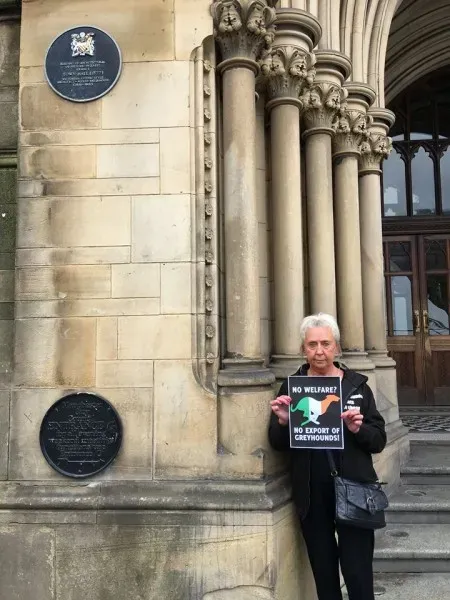 19601146 356133348137929 2851533052968749834 n