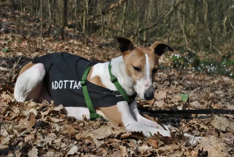 1960838 646141788780330 613654206 o