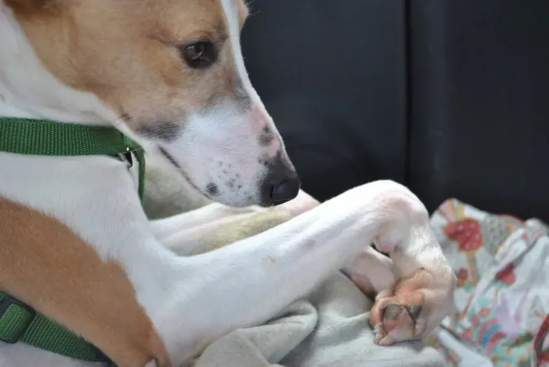 1960918 645343802193462 1959495547 o