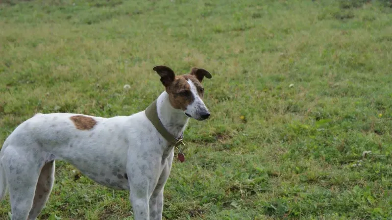 1961670 251465281714928 8931175390510855719 o