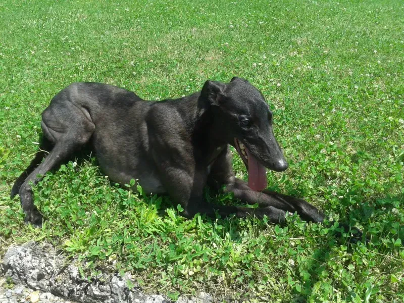 1962474 670631799680995 1177321745506184704 o