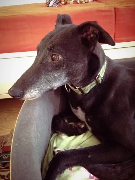 1962730 862724440412278 6508148147481421578 n