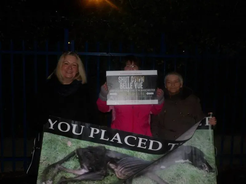 1962870 904662696245210 8344982271126970091 n