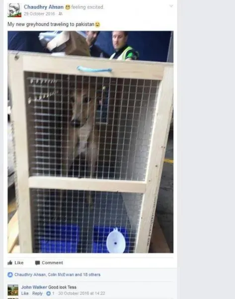 19642468 1386370068137791 7361763705031707420 n