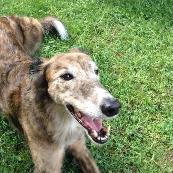 1964796 1517983545125150 4671170739004446622 n1