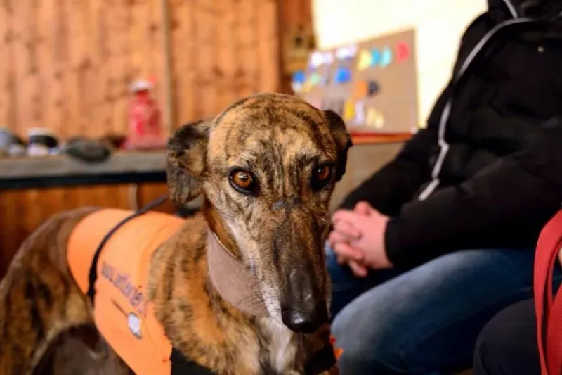 1964899 10204477525512018 1383691387242007316 n