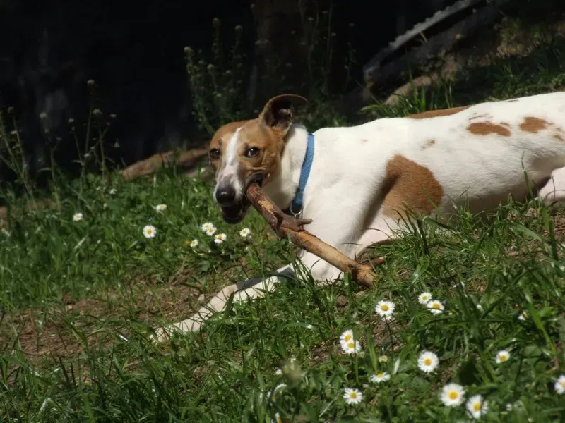 1966093 10202871305735022 140742113 o