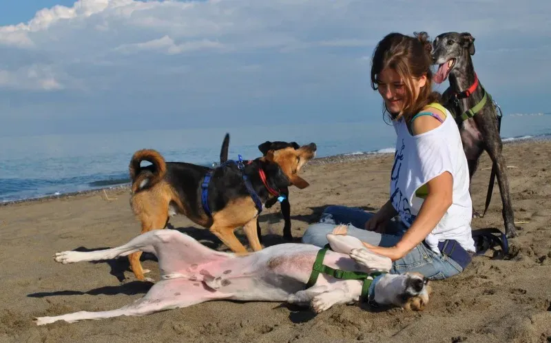 1966100 753953694670867 8265516744917738936 o