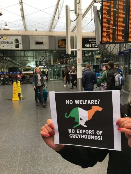 19665597 356133384804592 7804804175870630962 n