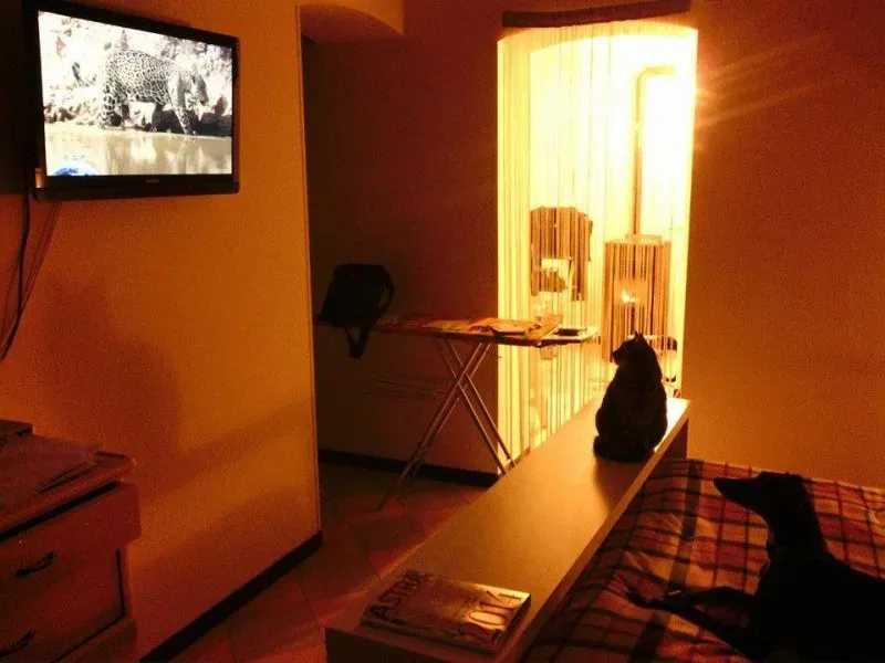 1966706 757591780991346 8929702646823043432 n