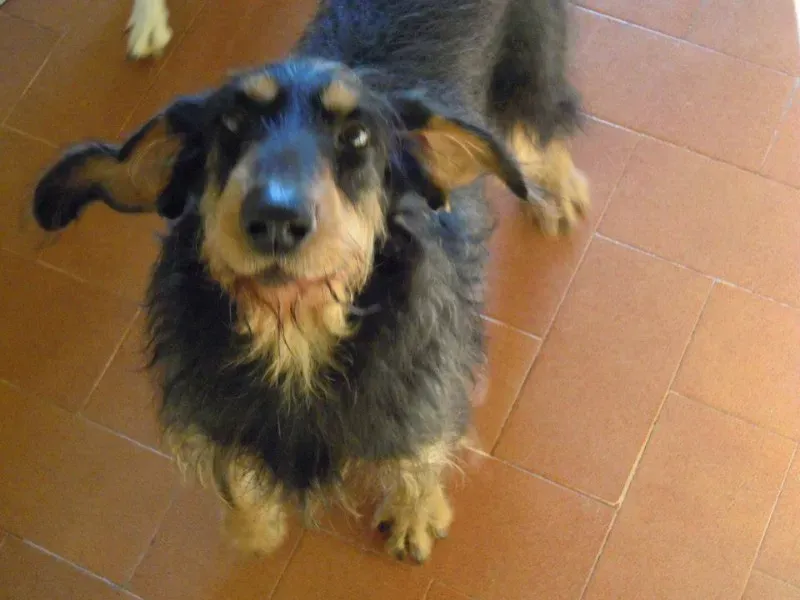 1966928 10202938644819543 3358161566783585041 n