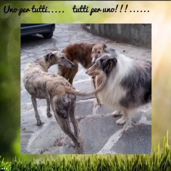 1969230 1517981058458732 8681461240100278710 n